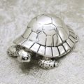 Sea turtle
