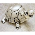 Smiling turtle