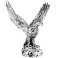 Eagle on rock