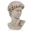 Dove grey bust david