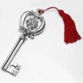 Silver coated key