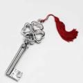 Silver coated key