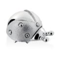 Silver ladybug