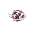 Silver ladybug