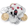 Lucky ladybug