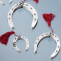 Horseshoe with ladybug