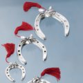 Horseshoe with ribbon