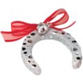 Horseshoe