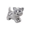 Silver cat