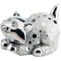 Gatto pois