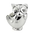 Small owl