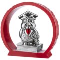 Graduation owl on red base