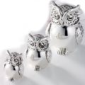 Small owl