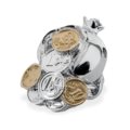 Pomegranate with coins