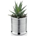 Small plant vase