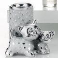 Perfumer kitten with cub