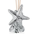 Perfumer starfish