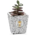 Vase plant holder communion