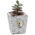 Vase plant holder confirmation