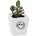 Vase plant holder heart