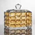 Amber jewelry case
