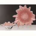 Bowl sunflower