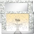 Photoframe mirror tree of life