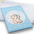 Baby diary teddy bear