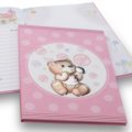 Baby diary teddy bear