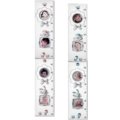 Silver baby ruler