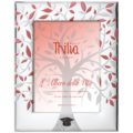 Photoframe graduation