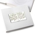 Photo album tree of life