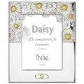 Photoframe daisy colors