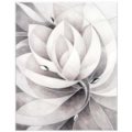 Quadro magnolia