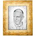 Panel pope francis