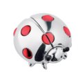 Medium ladybug