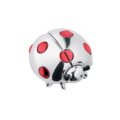 Little ladybug