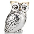 Medium owl