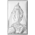 Icon holy virgin