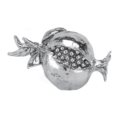 Pomegranate with leaf