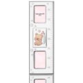 Baby ruler teddy bear