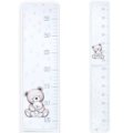 Baby ruler teddy bear