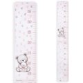 Baby ruler teddy bear