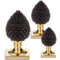 Black pine cone