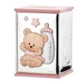 Money bank teddy bear