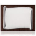 Scroll plate