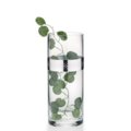 Glass cylider vase
