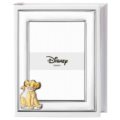 Photo album the lion king