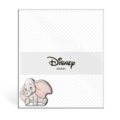 Plexi photoframe dumbo
