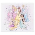 Panel disney princesses